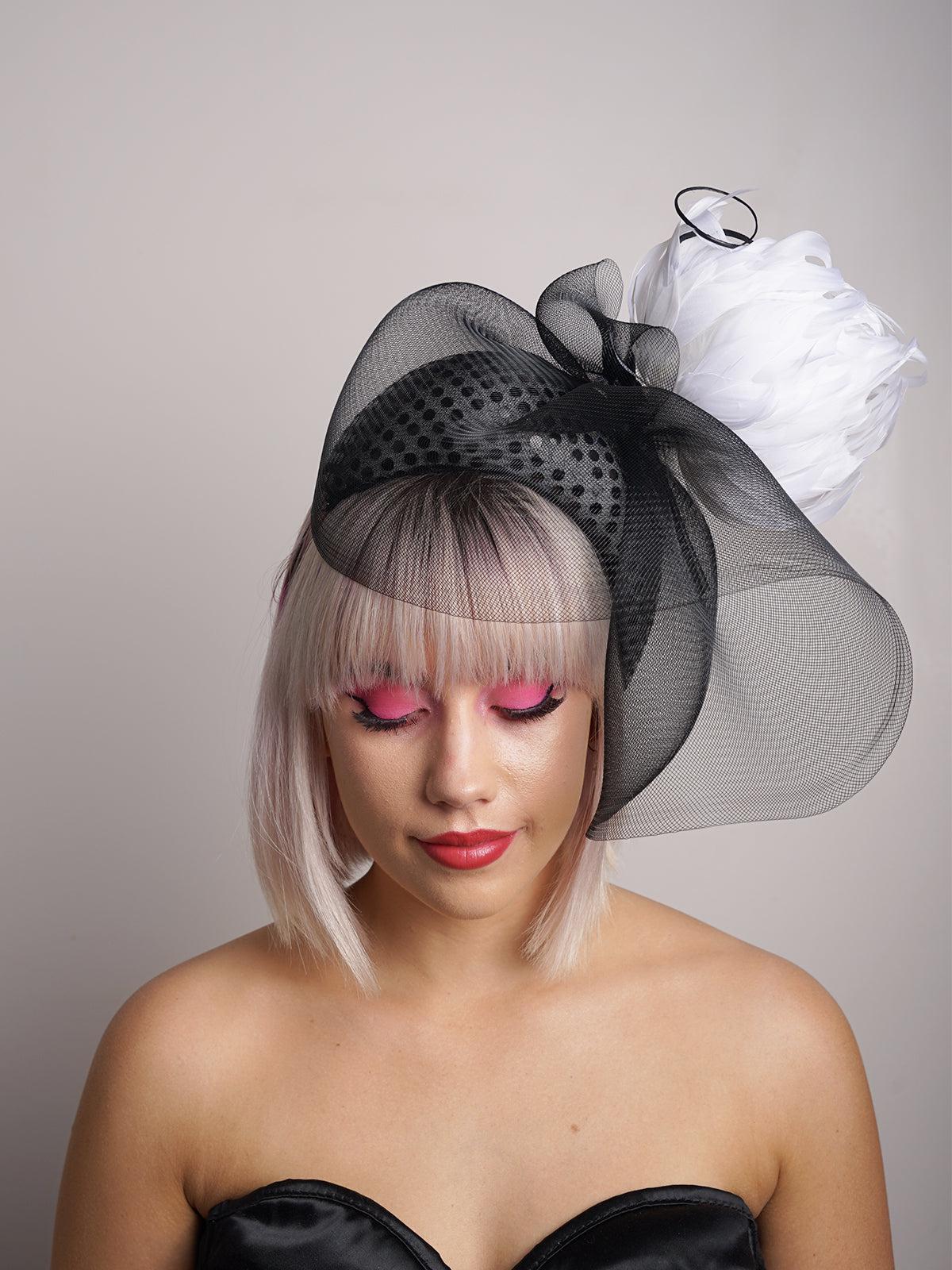 Black Crown White Feather
