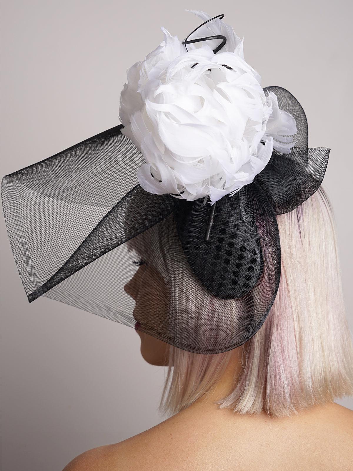 Black Crown White Feather